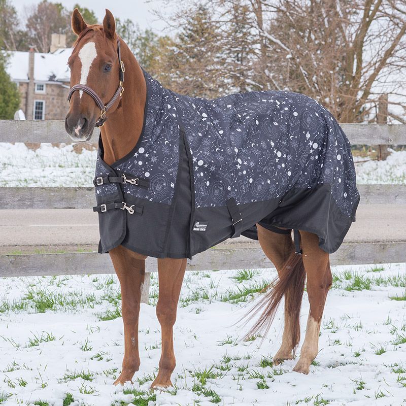 Canadian Horsewear Rainsheet - 81&quot; Constellation