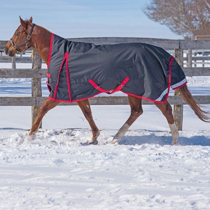 Canadian Horsewear Rainsheet - 78&quot; Crimson