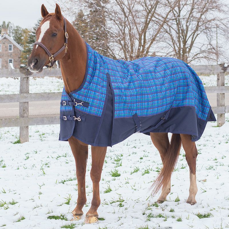 Canadian Horsewear Rainsheet - 81&quot; Tartan
