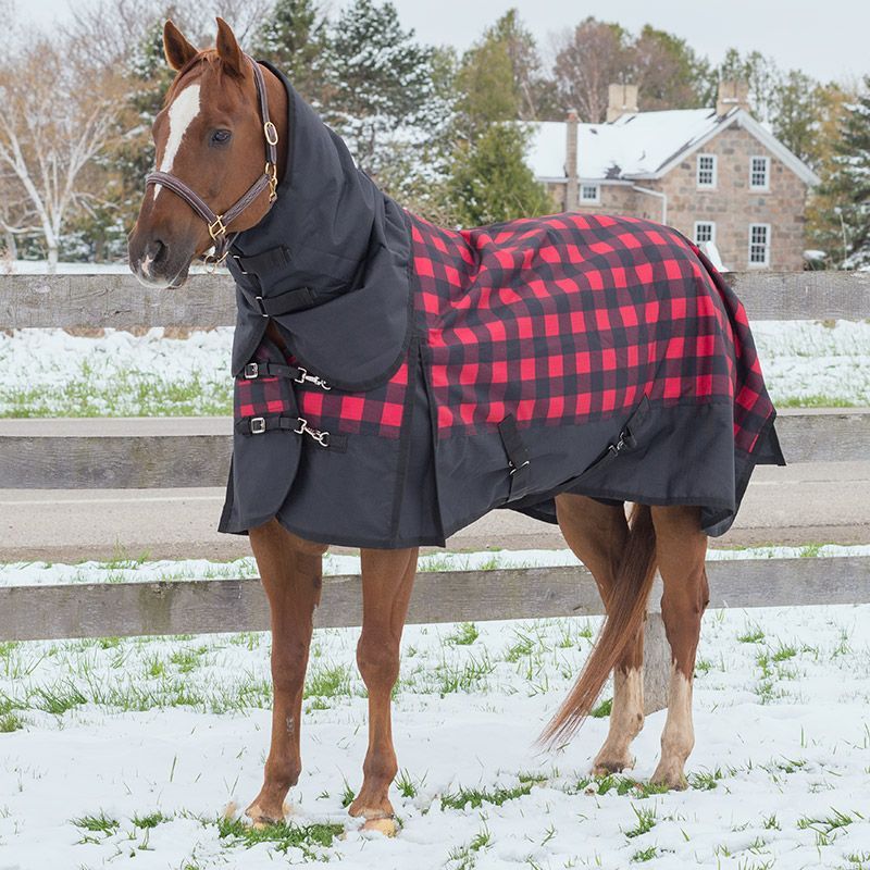 Canadian Horsewear Rainsheet - 72&quot; Buffalo Plaid Diablo
