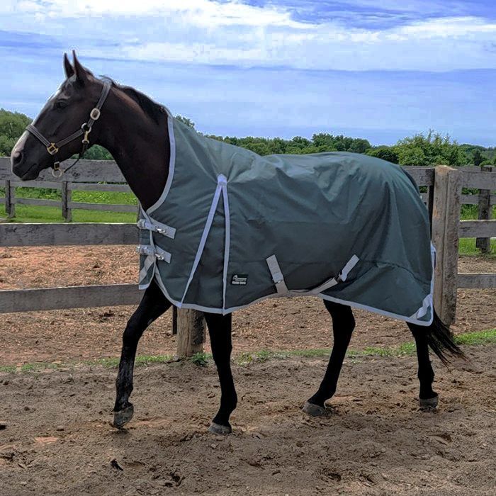 Canadian Horsewear Rainsheet - 75&quot; Fenway