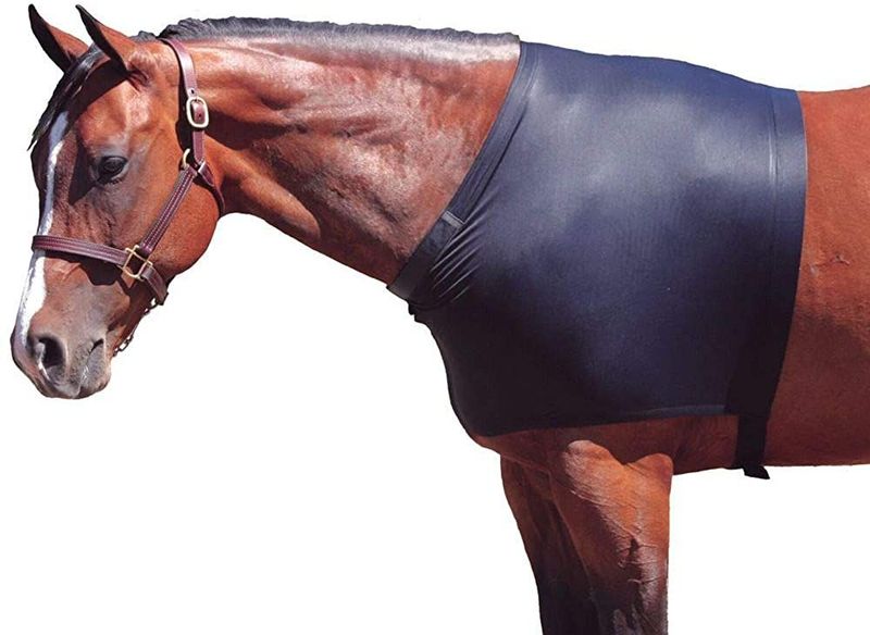 Lycra Shoulder Guard L