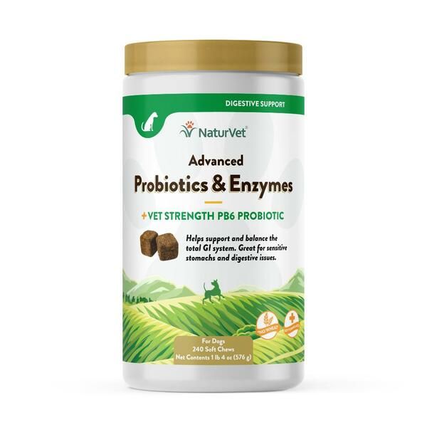 Advanced Probiotics &amp; Enzymes Soft Chew 240CT