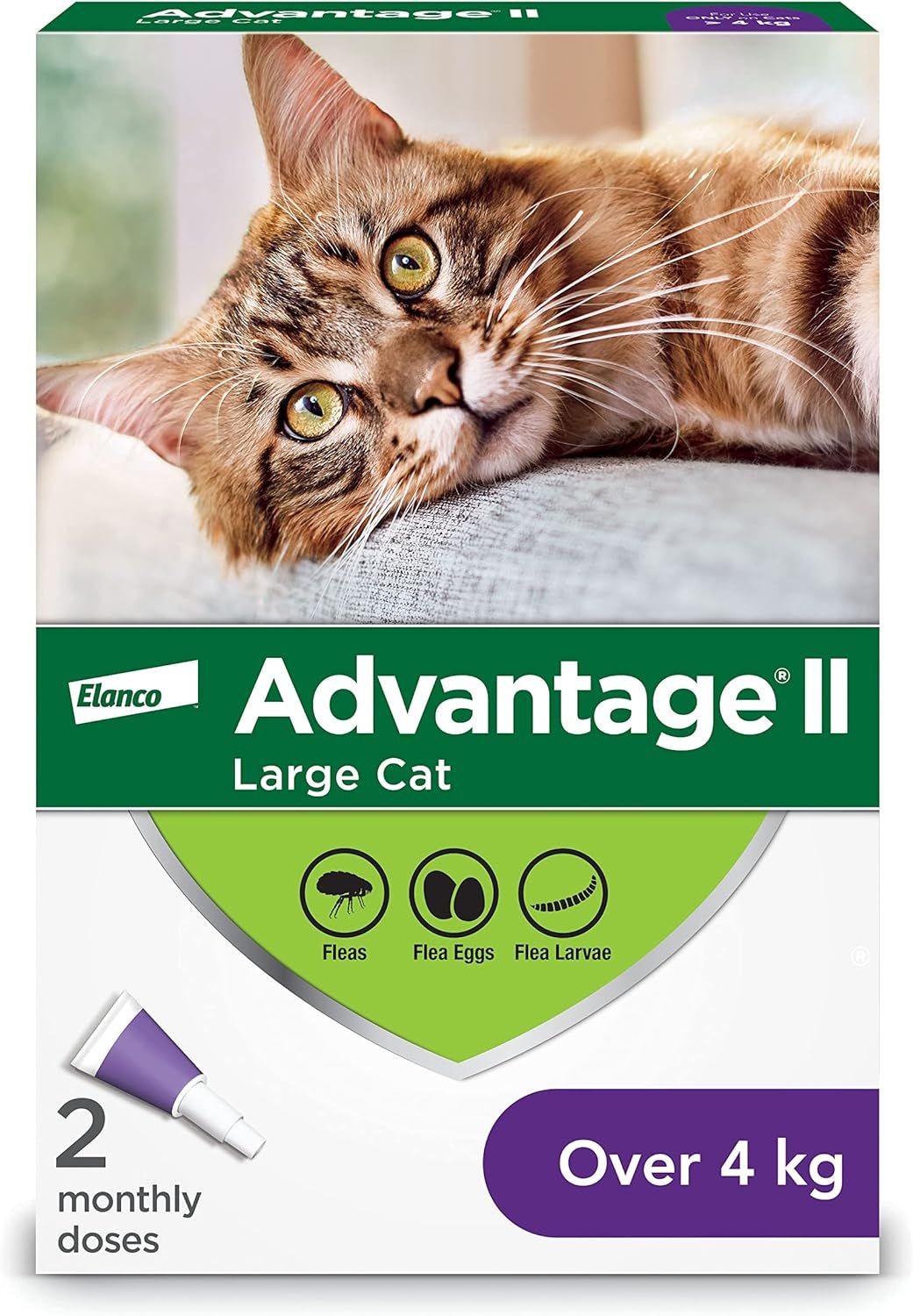 Advantage II - 2 Dose [CAT] 4KG +