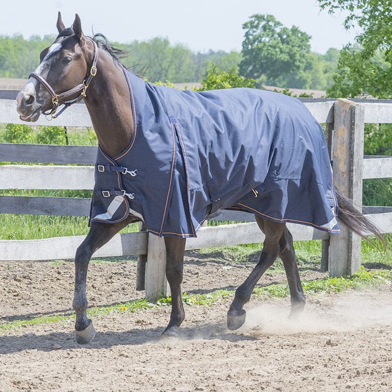 Canadian Horsewear 300gm Turnout - 81” Bronco
