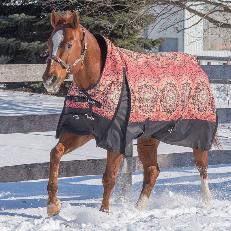 Canadian Horsewear 300gm Turnout - 78” Mandala