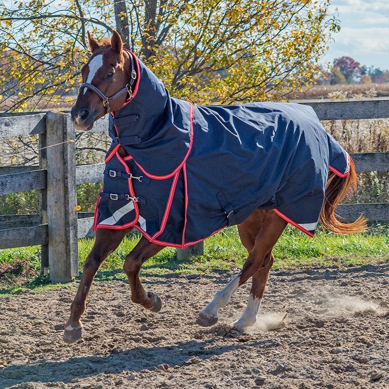 Canadian Horsewear 160gm Insulated Rainsheet - 69&quot; Monarch Diablo w/ Tail Cord