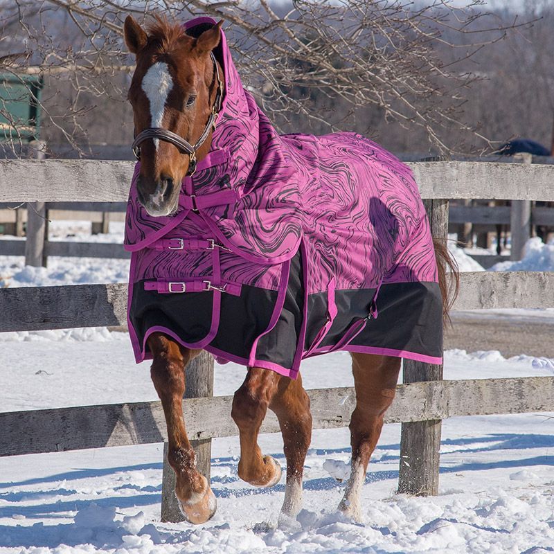 Canadian Horsewear 300gm Turnout - 63” Tiger Tail Diablo