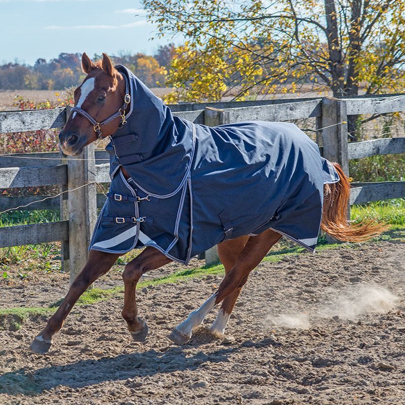 Canadian Horsewear 160gm Insulated Rainsheet - 78&quot; Symphony Diablo w/ Tail Cord