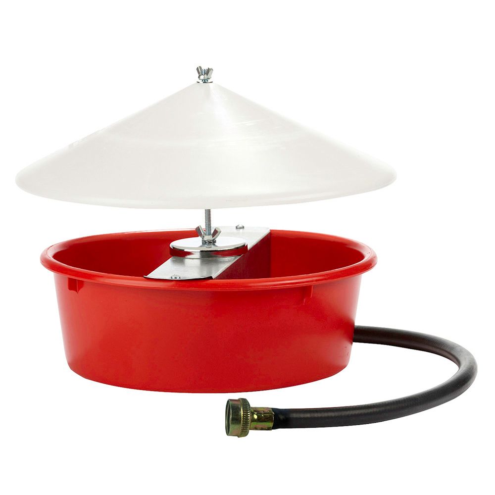 Automatic Poultry Fount+Cover 5QT