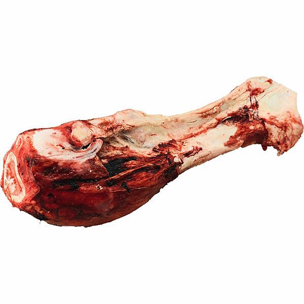 K9 Choice Frozen - Beef Dino Bone