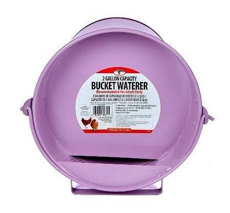 Painted Galvanized Bucket Waterer 2 GAL