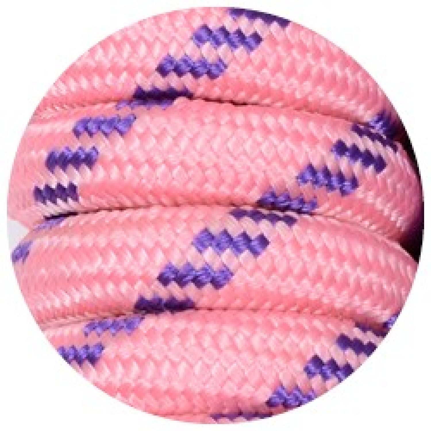 Fashion Check Rope Halter 1" w/ Lead Pink/Purple