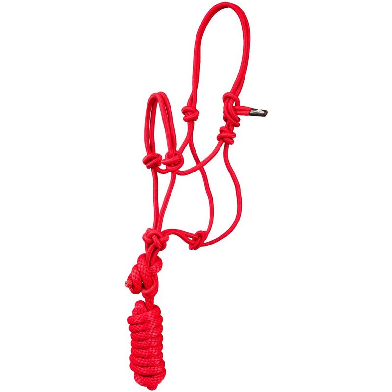 Mustang Pony/Mini Rope Halter w/ Lead Purple