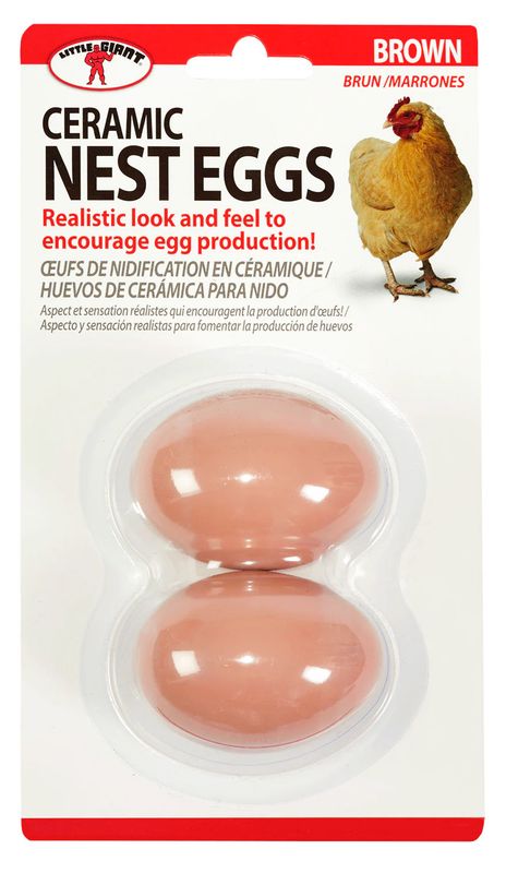 Ceramic Nest Eggs Brown 2PK