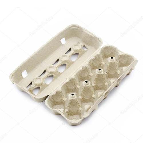 Egg Carton