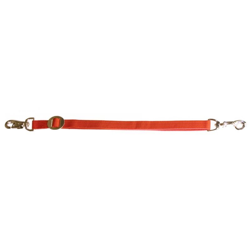 Adjustable Trailer Tie - Blue