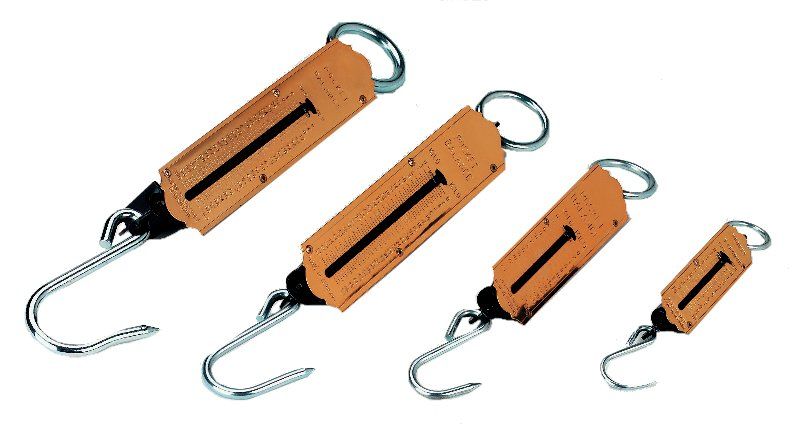 Hanging Spring Scale 100KG