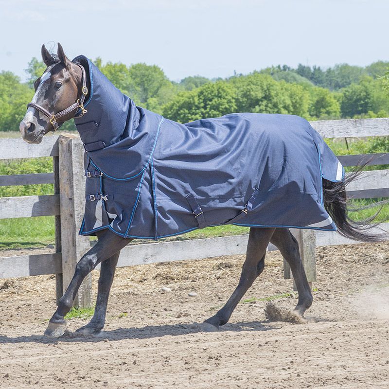 Canadian Horsewear 300gm Turnout - 63” Hurricane Diablo