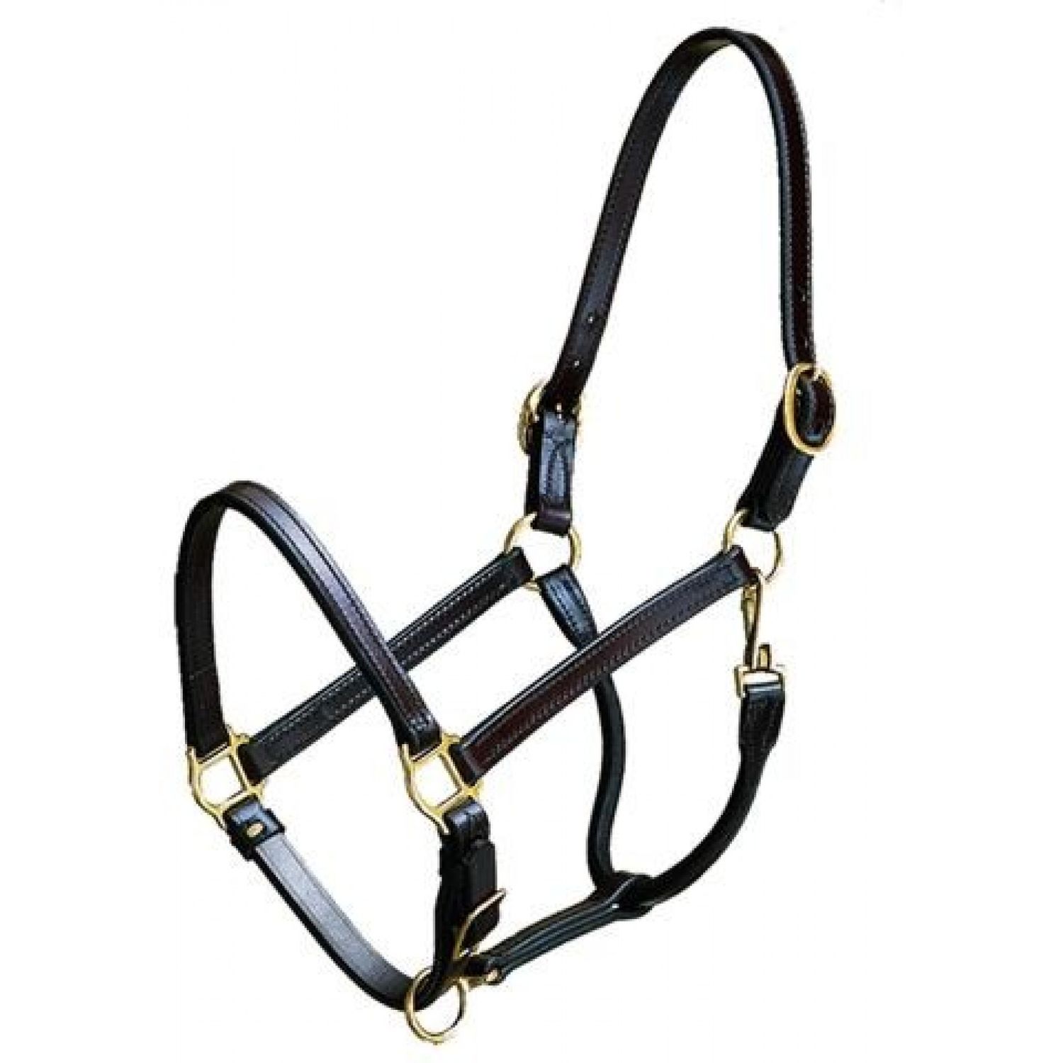 Contender 3/4&quot; Turnout Halter - Weanling