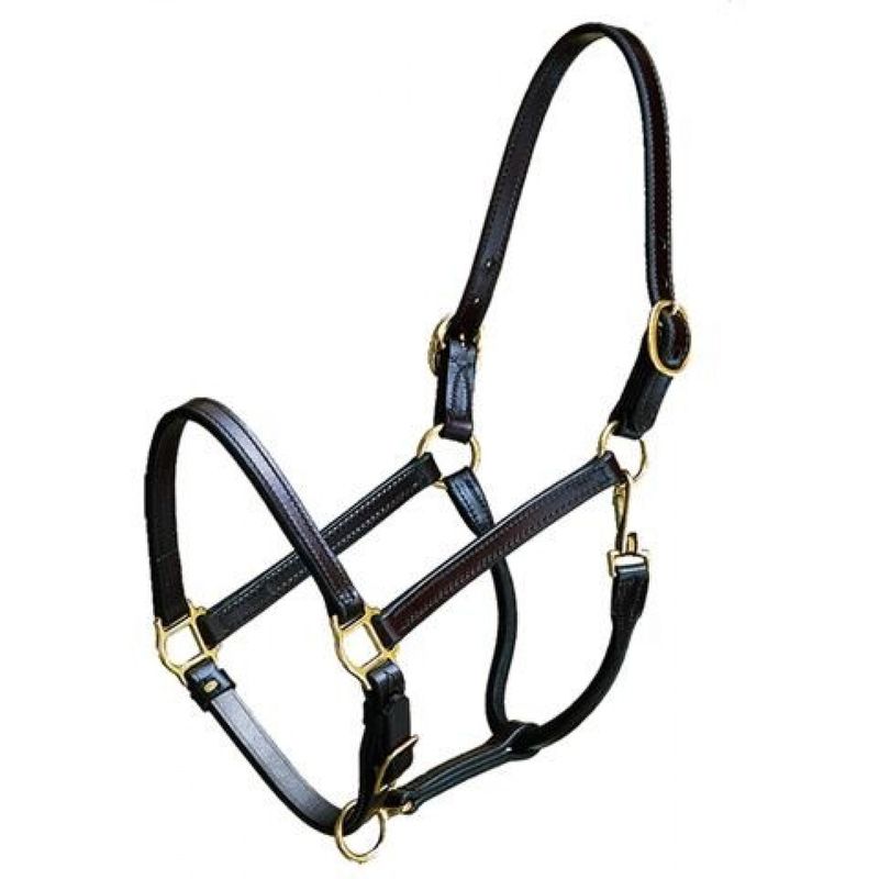 Contender 5/8&quot; Turnout Halter - Weanling