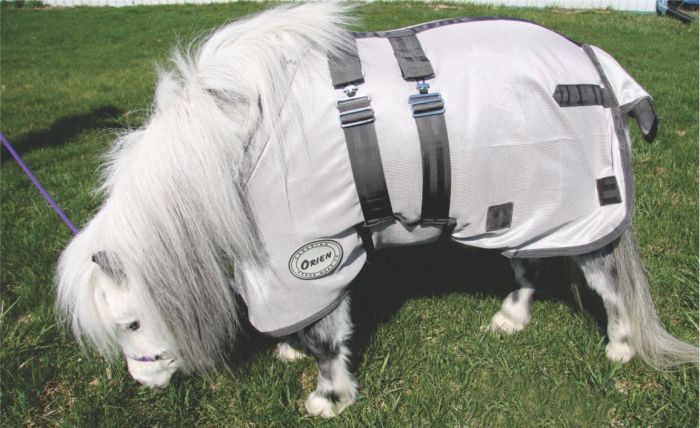 Canadian Horsewear Mini Fly Sheet 38&quot;