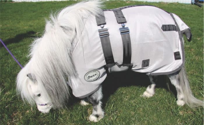 Canadian Horsewear Mini Fly Sheet 46&quot;