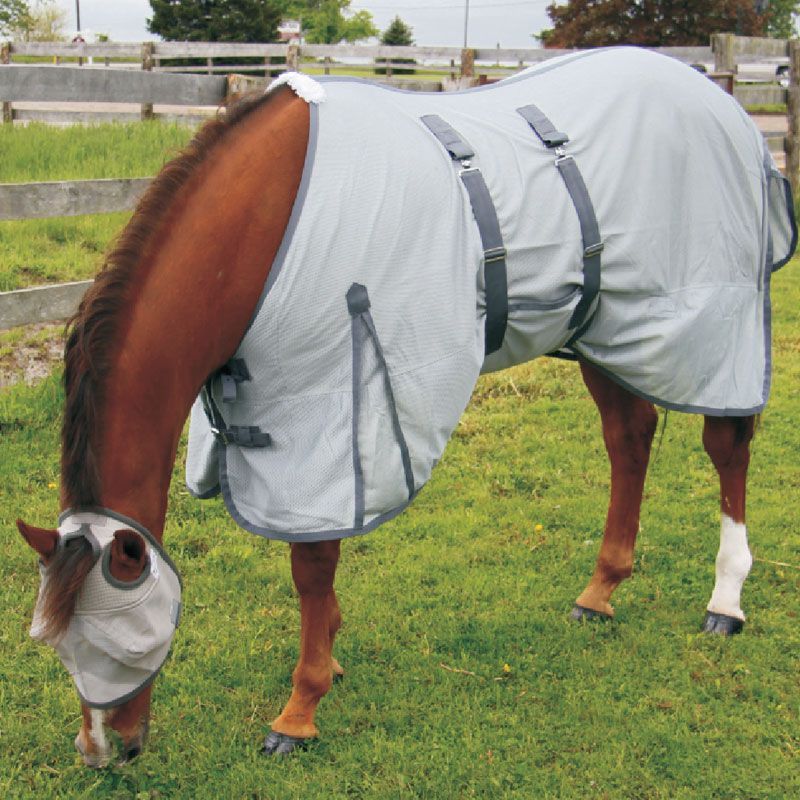 Canadian Horsewear Orien Fly Sheet 75&quot;