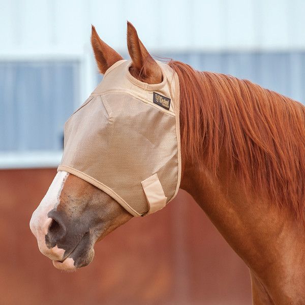 Cashel Standard Economy Fly Mask Warmblood