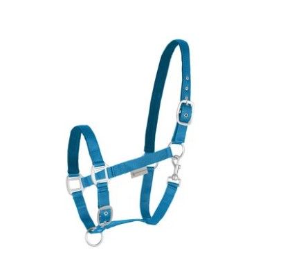 Waldhausen Perlon Halter Azure Blue Cob