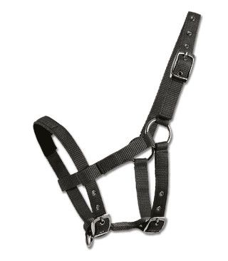 Waldhausen Mini Halter Black