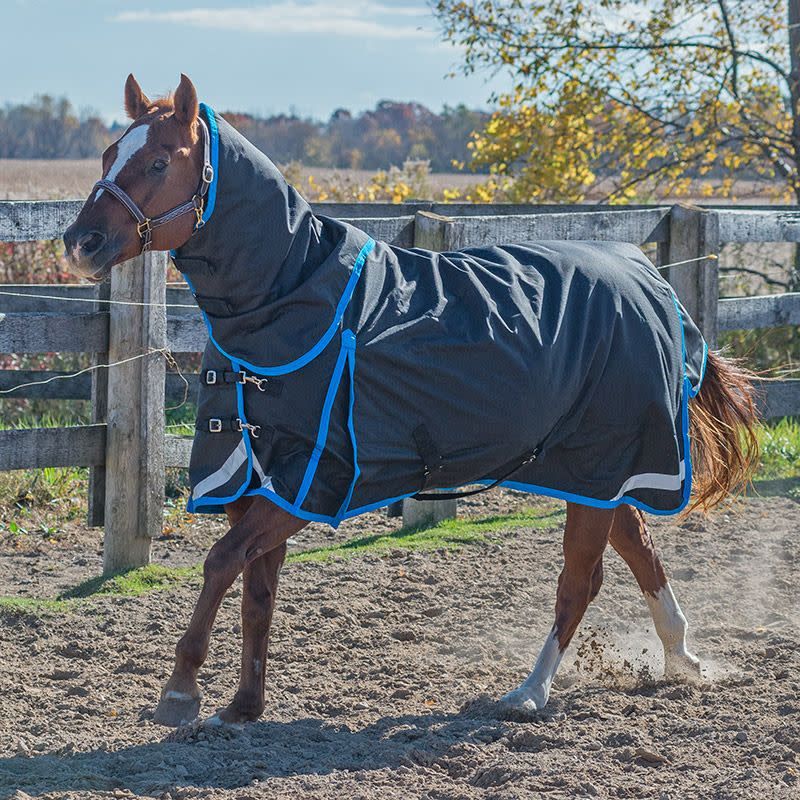 Canadian Horsewear Rainsheet - 78&quot; Seaport Diablo w/ Tail Cord