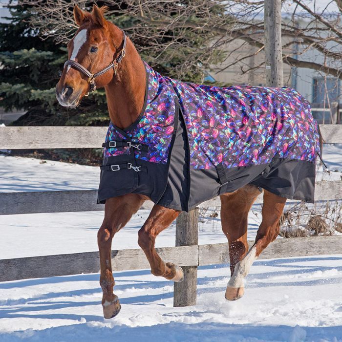 Canadian Horsewear Rainsheet - 72&quot; Dreamcoat