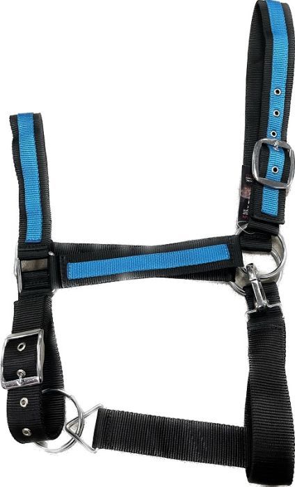 Nylon Draft Halter 2&quot; Turquoise