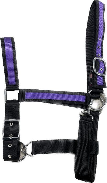 Nylon Draft Halter 2&quot; Purple