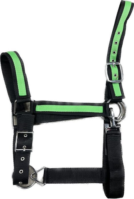 Nylon Draft Halter 2&quot; Lime