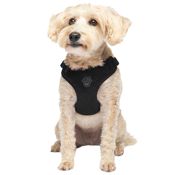 Canada Pooch Core Easy-On Step-In Harness Black XS