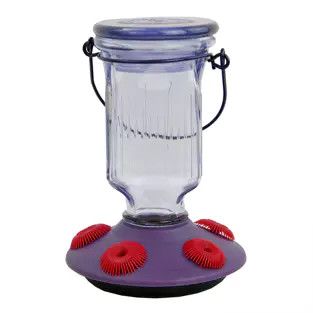 Hummingbird Feeder Perky Pet Top Fill Purple Lavender Field 16OZ