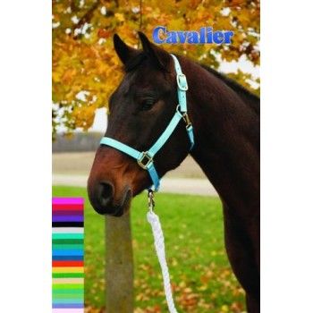 Sierra Premium Nylon Halter Black Horse
