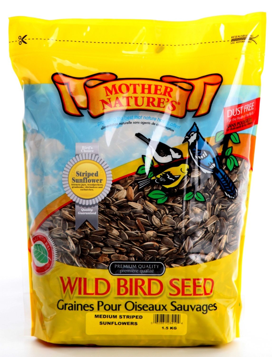 Mother Nature's Medium Striped Sunflowers 1.5KG