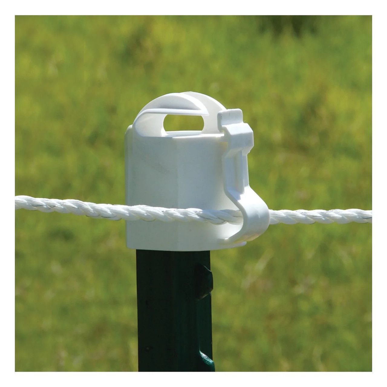 Patriot White T-Post Topper Insulator 10PK