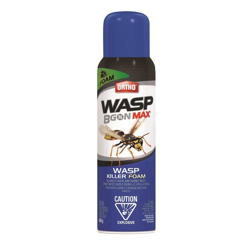 Ortho Wasp B Gon MaxWasp Killer Foam 400GM