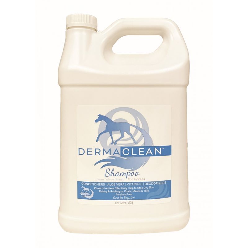 Derma Clean Shampoo 4L