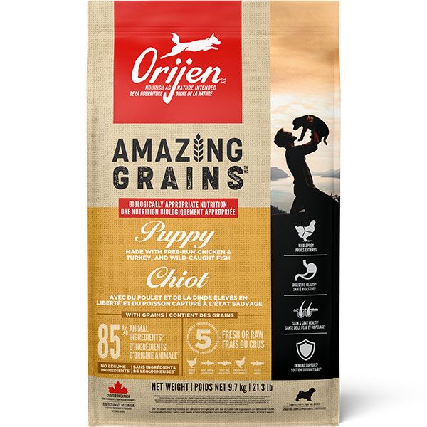 Orijen Amazing Grains Puppy [DOG] 9.7KG