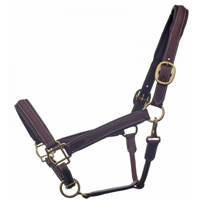 Bromont Raised Padded Leather Halter Cob