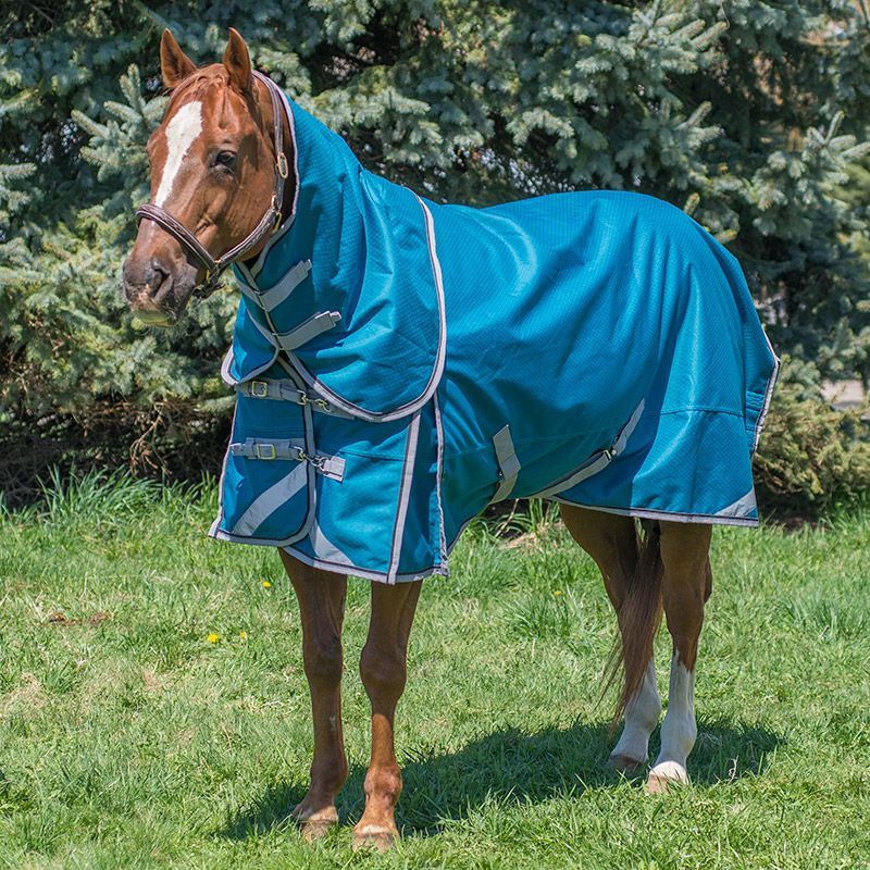 Canadian Horsewear 160gm Insulated Rainsheet - 75&quot; Aquarius Diablo