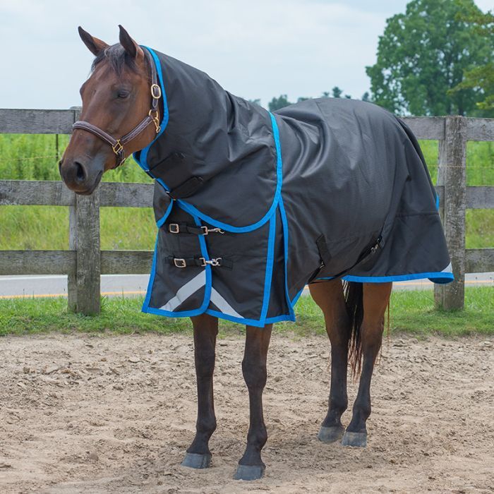 Canadian Horsewear 160gm Insulated Rainsheet - 72&quot; Seaport Diablo