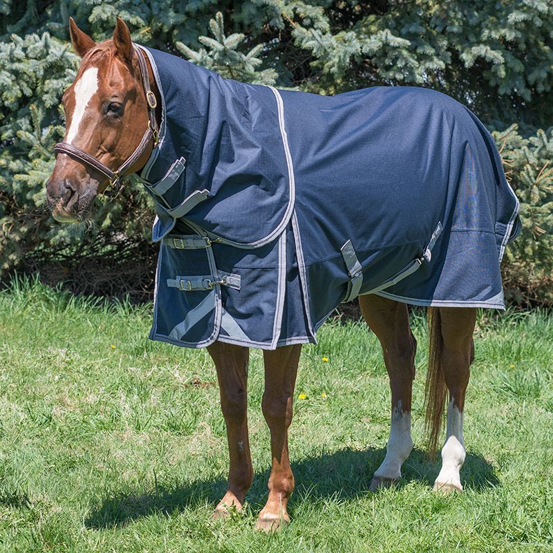 Canadian Horsewear 160gm Insulated Rainsheet - 81&quot; Olympus Diablo