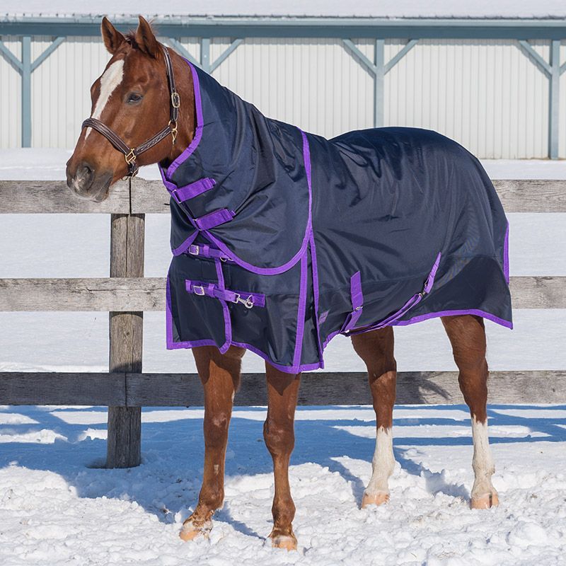 Canadian Horsewear 160gm Insulated Rainsheet - 78&quot; Regal Diablo