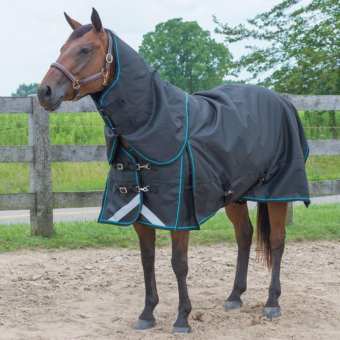 Canadian Horsewear 300gm Turnout - 75” Calypso Diablo